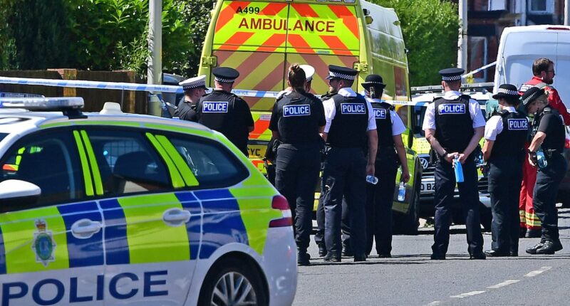PETER HITCHENS: One thing is linking these savage acts of violence being carried out day after day on our streets... and it's not what you're being told it is
