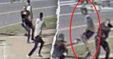 PHOTOS: Suspect seen pulling gun and allegedly firing toward Secret Service agents near the White House