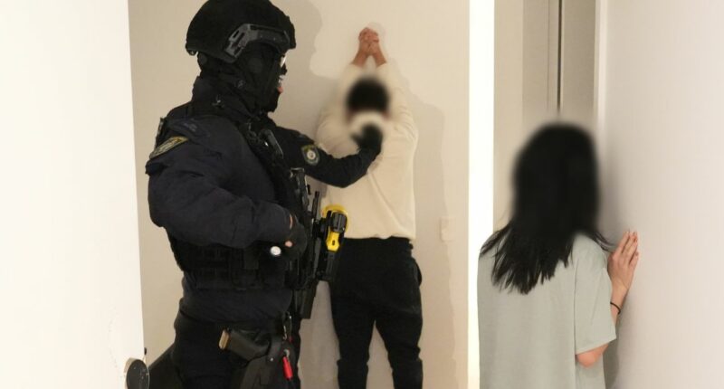 Pair arrested over alleged role in multi-million Sydney fraud scheme