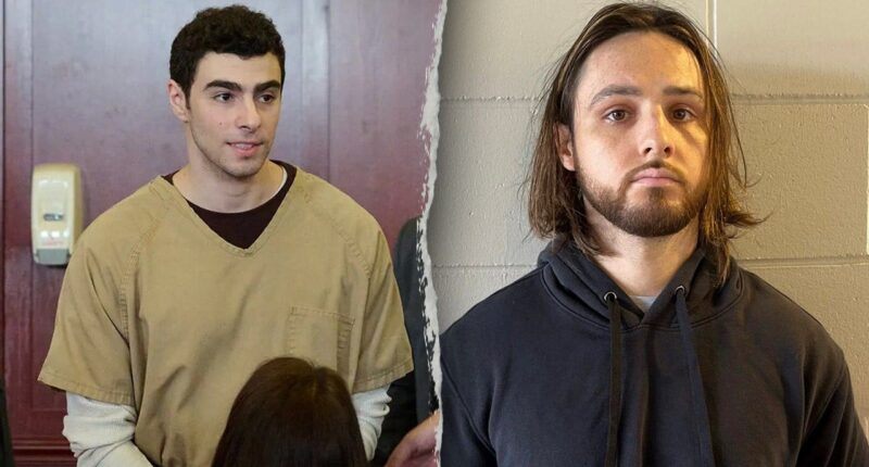 Palisades Fire suspect was allegedly 'fixated' on Luigi Mangione and held 'resentment of the rich': court docs
