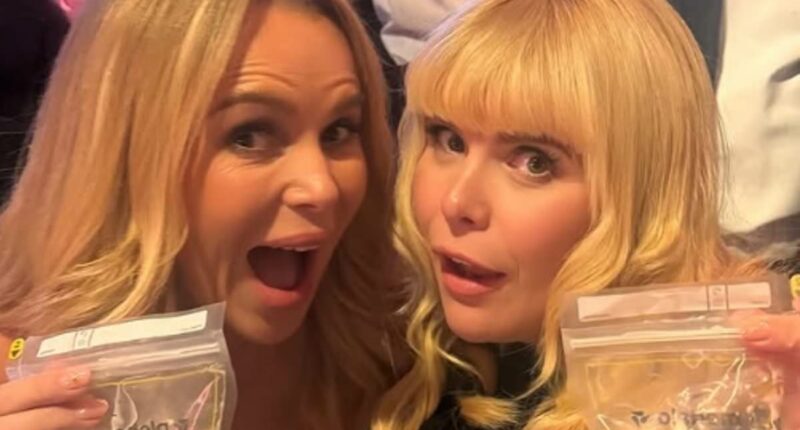 Paloma Faith shares reality of attending BAFTAs nine weeks post-partum