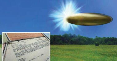 Pentagon's UFO website bombarded with 340 million hits in first 12 hours