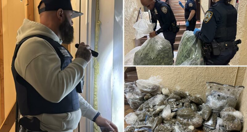 Police unearth 300 pounds of illegal marijuana in NYC building
