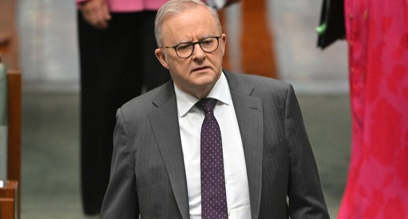 Poll reveals trust in Anthony Albanese has plunged