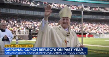 Pope Leo XIV's intentions for peace are clear, Cardinal Blase Cupich, Archbishop of Chicago, says