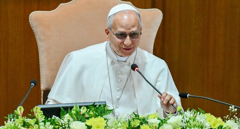 Pope Leo warns AI risks becoming tool of 'domination, exclusion and death' in new encyclical
