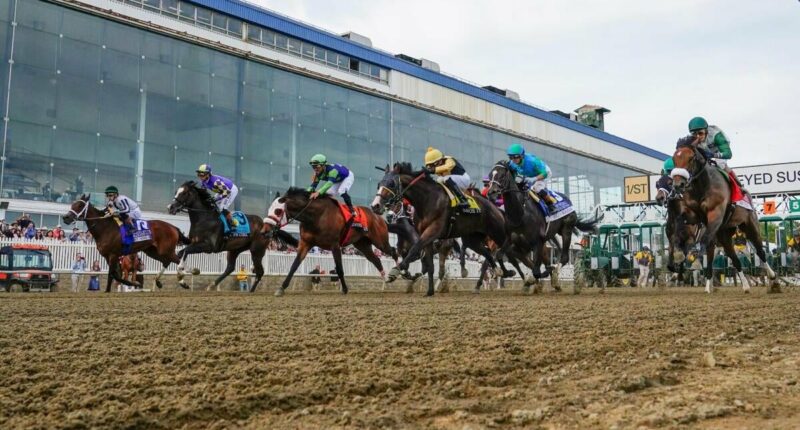 Preakness Stake 2026 odds, post positions: Iron Honor, Incredibolt, Taj Mahal predictions by racing expert
