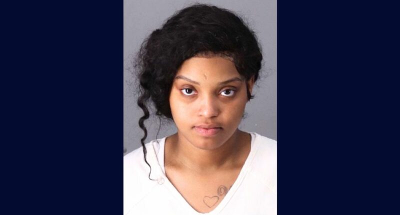 Pregnant woman kills mom whose kid was fathered by same man