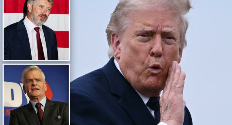President Trump heralds Memorial Day by trashing 'Dumocrats, RINOS, and Fools'