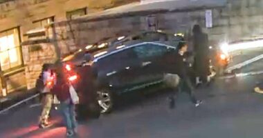 President at Ivy League University accused of running over student