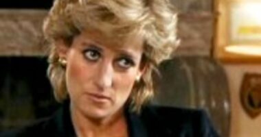 Princess Diana's brother Earl Spencer urges incoming BBC boss to end 'conspiracy of silence' over Martin Bashir scandal