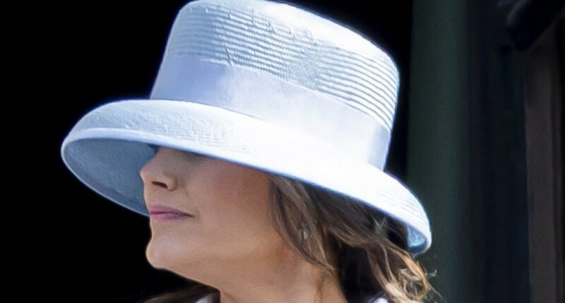 Princess Sofia of Sweden is back in the spotlight after Epstein revelations at father-in-law King Carl Gustaf's 80th birthday celebrations - but shuns attention with VERY wide-brimmed hat