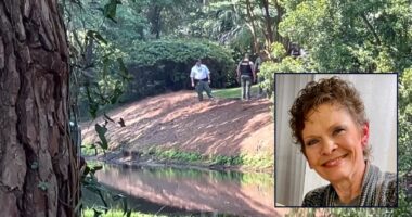 Private community pays up after grandma killed by alligator
