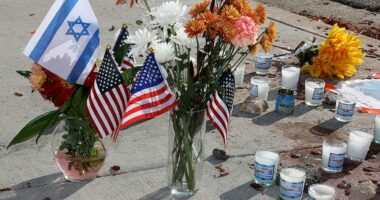 Pro-Palestine marcher may avoid jail for death of Jewish man at rally