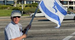 Pro-Palestine protester may AVOID jail time for death of Jewish man who suffered fatal injury at post-October 7 rally
