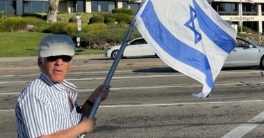 Pro-Palestine protester may AVOID jail time for death of Jewish man who suffered fatal injury at post-October 7 rally