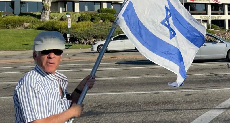 Pro-Palestine protester may AVOID jail time for death of Jewish man who suffered fatal injury at post-October 7 rally