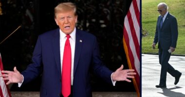 Pro-Trump veteran loses First Amendment lawsuit