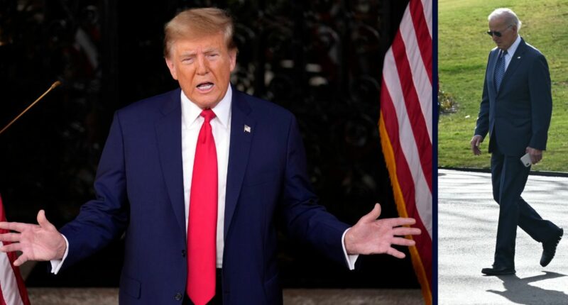 Pro-Trump veteran loses First Amendment lawsuit