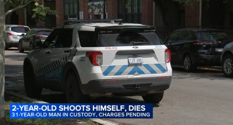 Pullman, Chicago shooting: ID released of boy, 2, who fatally shot himself in Pullman; man in custody: Chicago police say