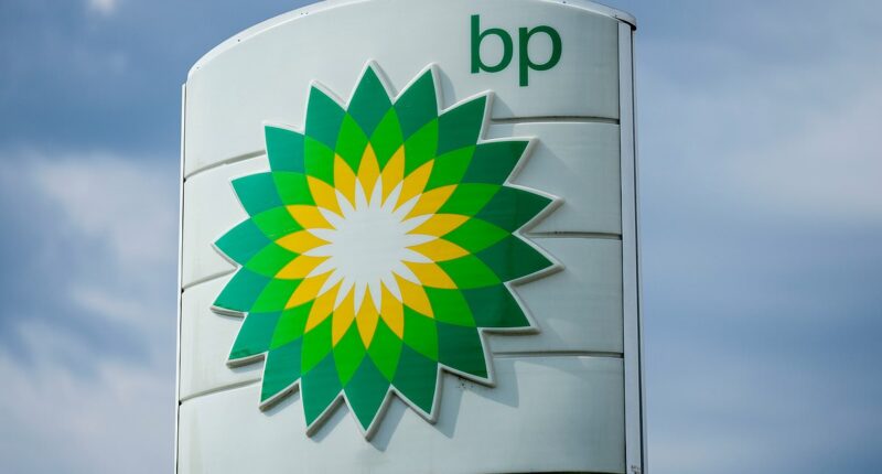 Punch and Judy show at BP does nobody any favours - least of all the shareholders: RUTH SUNDERLAND