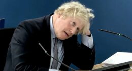 QUENTIN LETTS: It just wasn't working for the Covid Inquiry's menswear model KC. Boris Johnson had done his homework - and after hours on the stand, he looked more chipper than when he started