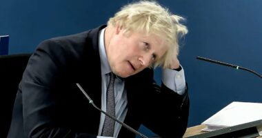 QUENTIN LETTS: It just wasn't working for the Covid Inquiry's menswear model KC. Boris Johnson had done his homework - and after hours on the stand, he looked more chipper than when he started