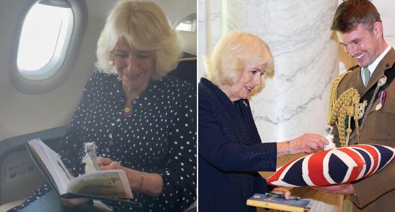 Queen Camilla reunites baby Roo with long-lost friends - as sweet footage captures Her Majesty onboard flight to US with bespoke replica of historic toy