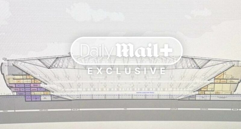 REVEALED: First image of Newcastle's plan for new Bayern Munich-style super-stadium and what PIF want after Matfen Hall summit, truth about Anthony Gordon's move to Germany and next season's away kit colour revealed - Newcastle Confidential