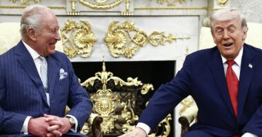RICHARD EDEN: Trump's savage comment about Harry on the King's US trip