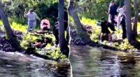 Rabid beaver attacks boy fishing at New Jersey lake, prompting health officials to warn residents