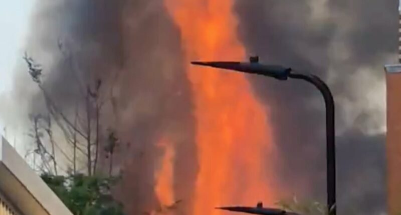 Rail chaos in London as enormous fire breaks out beside tracks
