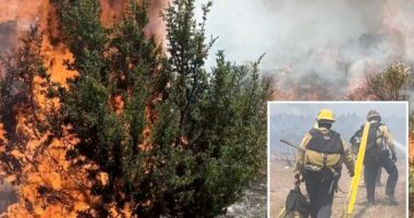 Rare 'ash devil' spotted during SoCal wildfire