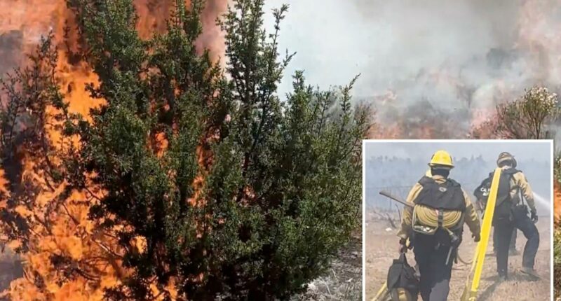 Rare 'ash devil' spotted during SoCal wildfire