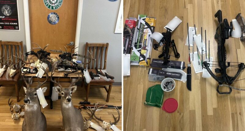 Reckless hunter arrested after 13 decapitated deer carcasses appear on front lawns across Texas
