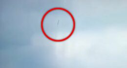 Recordings 'reveal fight over controls of Boeing' before crash