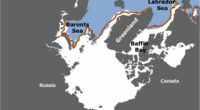 Report: Arctic sea ice hits record low