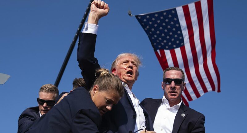 Republican claims Trump assassination attempt was 'an inside job'