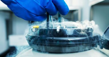 Rob, 41, reveals SPERM freezing costs - and why his wife DOESN'T know