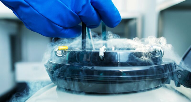 Rob, 41, reveals SPERM freezing costs - and why his wife DOESN'T know