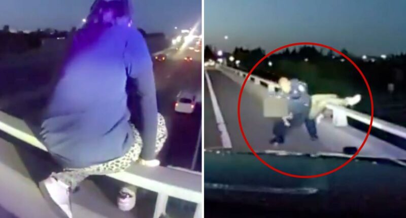 Sacramento Police save person leaning over freeway overpass