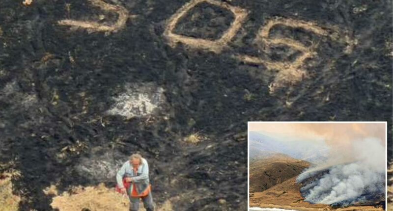 Sailor rescued in the knick of time as massive, record-breaking wildfire engulfs California island