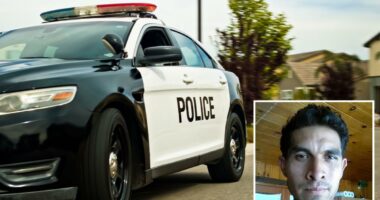 Santa Barbara man tortured, cooked his dog 'Coco' in front of family