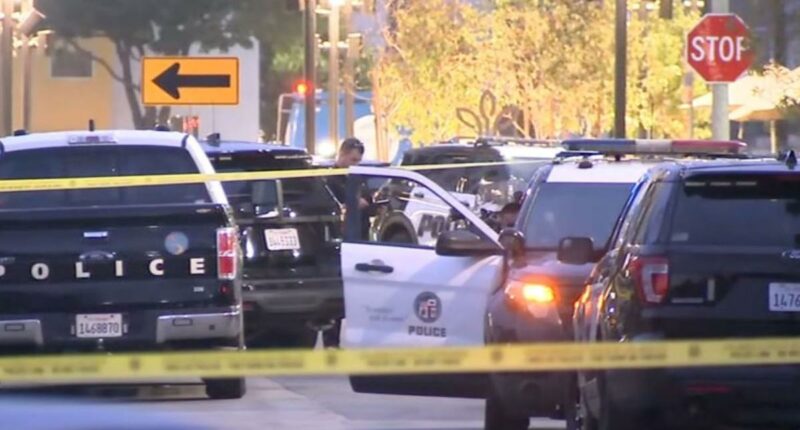 Santa Monica kidnapping ends in police chase, shootout