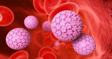 Scientists claim cervical cancer could be eradicated in the UK and other 'high income countries' by 2048 thanks to HPV jabs and screening programmes