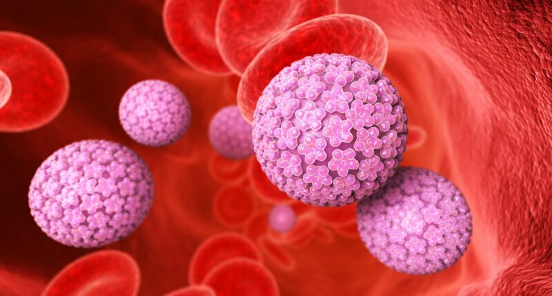 Scientists claim cervical cancer could be eradicated in the UK and other 'high income countries' by 2048 thanks to HPV jabs and screening programmes