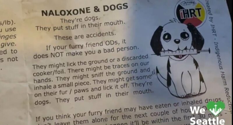 Seattle hands out leaflets about what to do if your dog overdoses