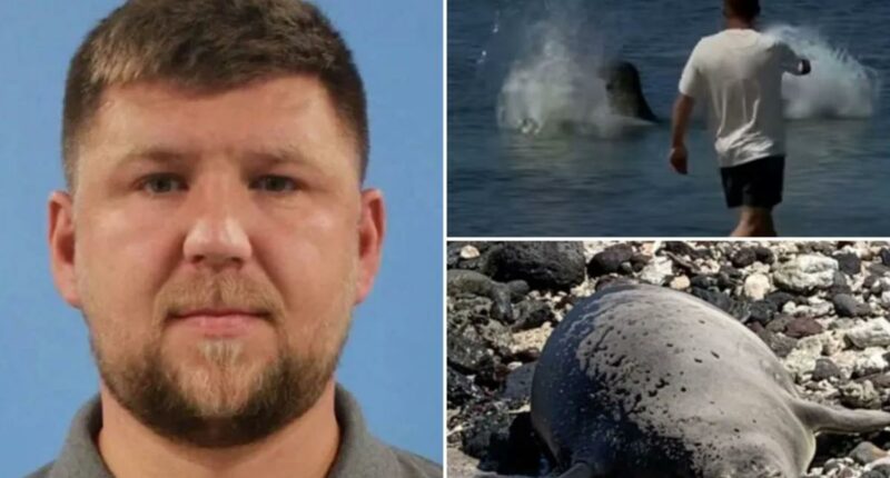 Seattle tourist Igor Mykhaylovych Lytvynchuk arrested after viral video caught him hurling rock at endangered Hawaiian seal
