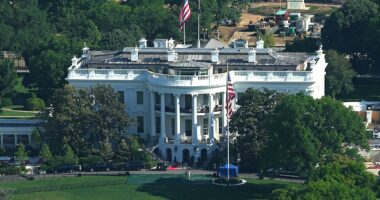 Secret Service officers shoot armed individual near White House