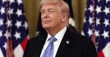 Sell in May? Not anymore as 'Taco Trump' reverses the seasonal trend